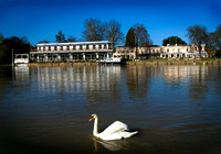Images of Henley